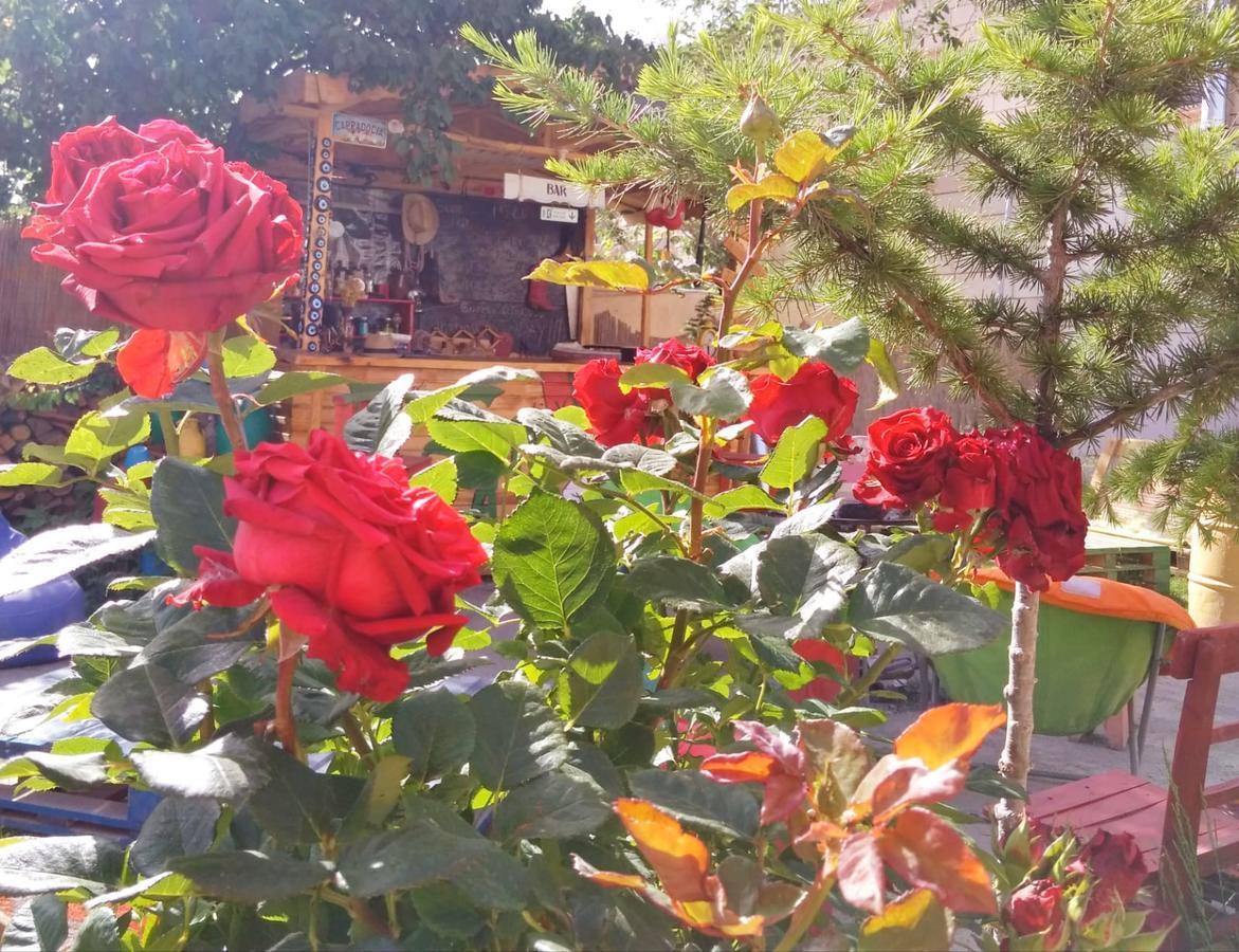 גורמה Escape Cappadocia Hotel מראה חיצוני תמונה